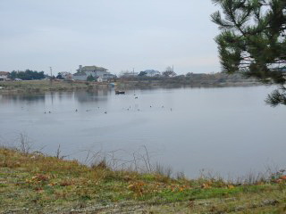 Picture of Point Roberts Parcel Number 405310-080306